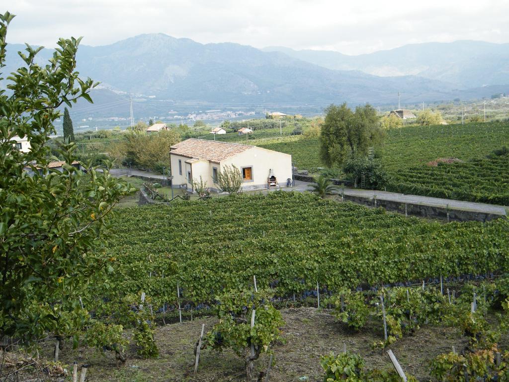 Etna Wine Azienda Agrituristica Passopisciaro Zimmer foto